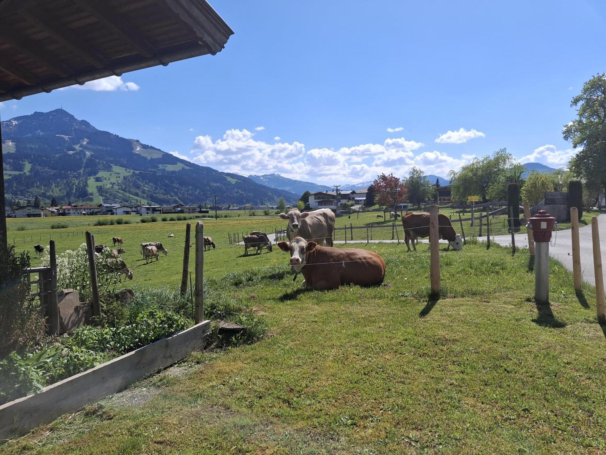 Lampererhof Villa Sankt Johann in Tirol Exterior photo